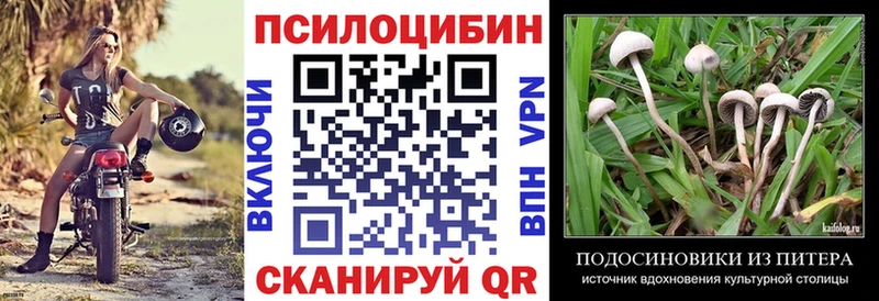 Псилоцибиновые грибы Cubensis  Ирбит 