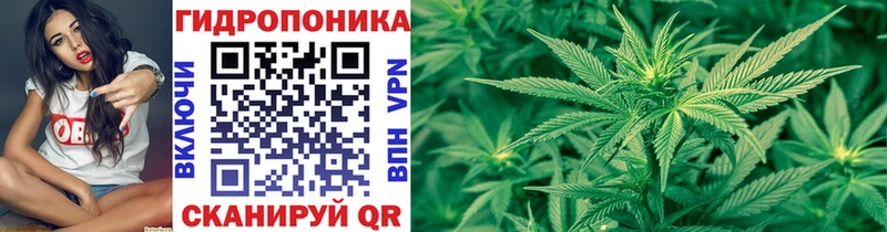 где купить   Ирбит  Бошки Шишки марихуана 